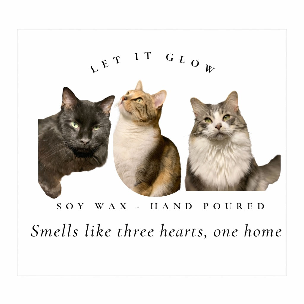 Furry Friends